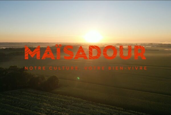 logo maïsadour